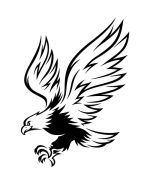 Strykemerke Ørn i action