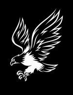 Strykemerke Ørn i action - Bilde 2