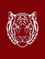 Strykemerke Tiger - Bilde 2