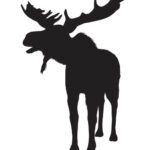 Strykemerke elg sort