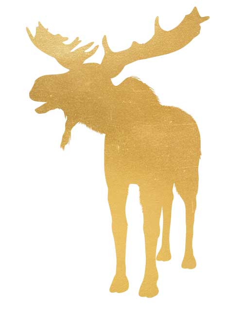 Strykemerke elg gull