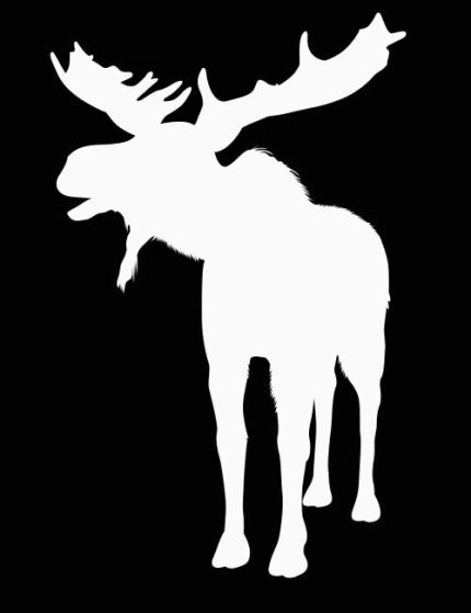 Strykemerke elg hvit